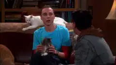 Теория большого взрыва 4 сезон 3 серия