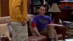 Теория большого взрыва 8 сезон 21 серия